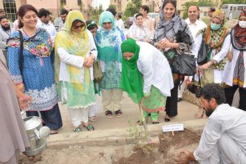 5.  Dr saima Abid planting  tree during  opening ceremony of tree plantation compaign at KMU (Custom)1534403633.JPG