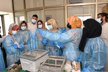 Small Laboratory Animals Handling31717124754.jpg
