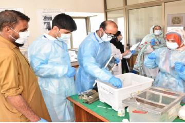 Small Laboratory Animals Handling51717124754.jpg