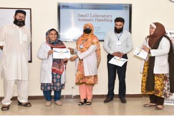 Small Laboratory Animals Handling61717124754.jpg